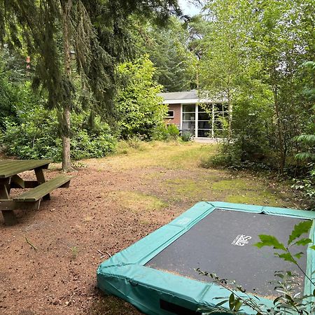 Relaxen In Het Bos Met Privesauna Holten Exteriér fotografie