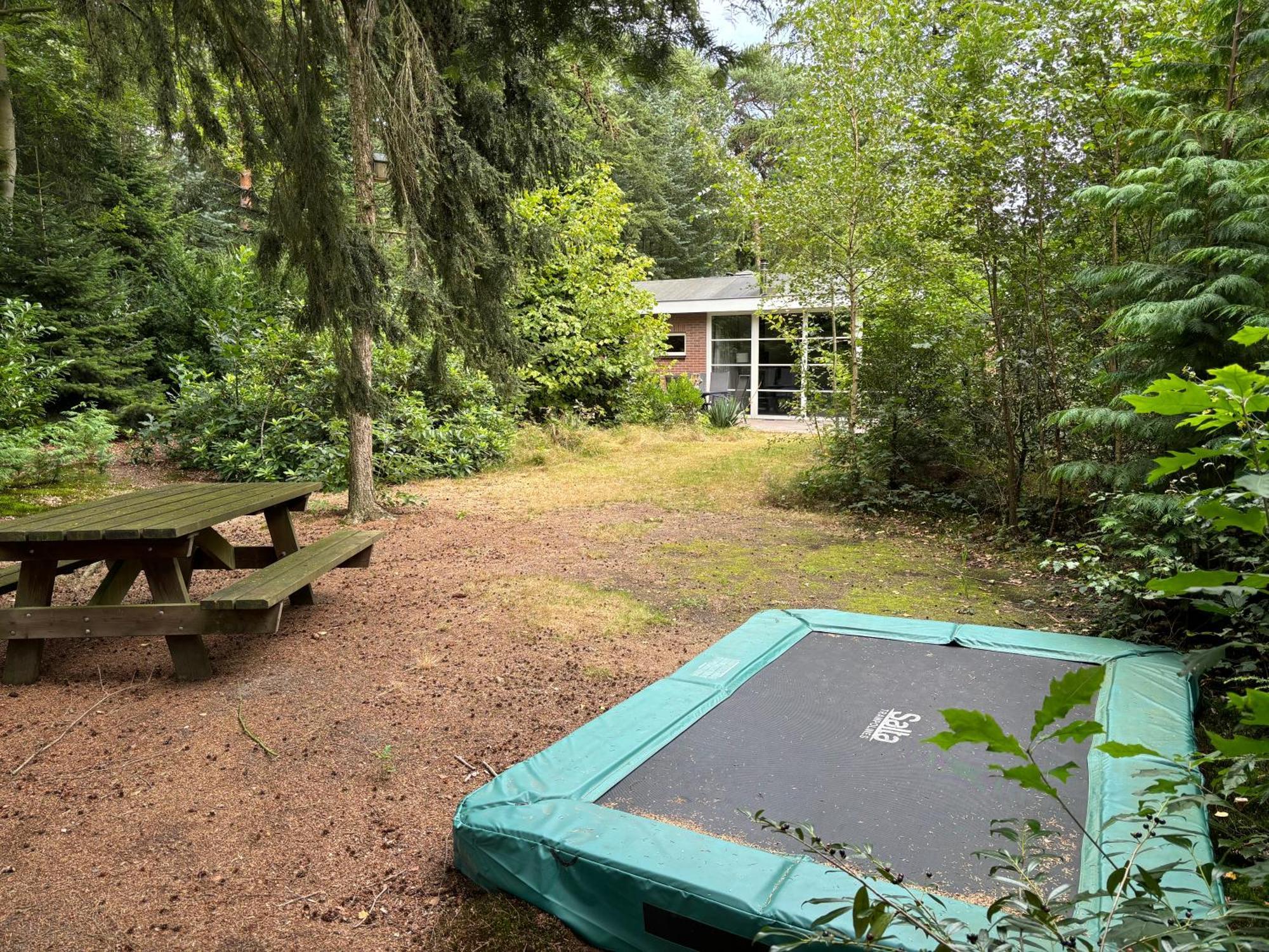 Relaxen In Het Bos Met Privesauna Holten Exteriér fotografie