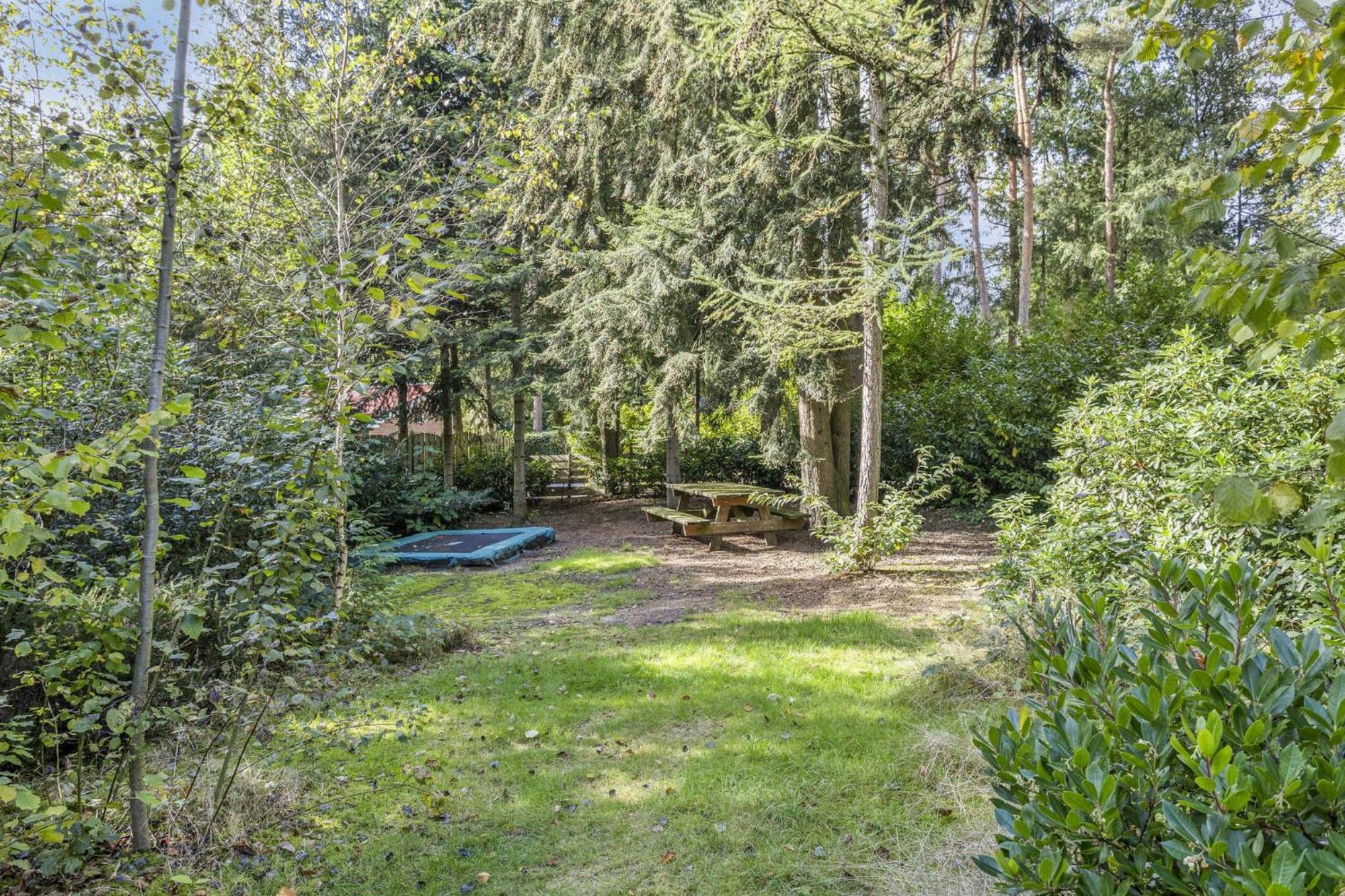 Relaxen In Het Bos Met Privesauna Holten Exteriér fotografie