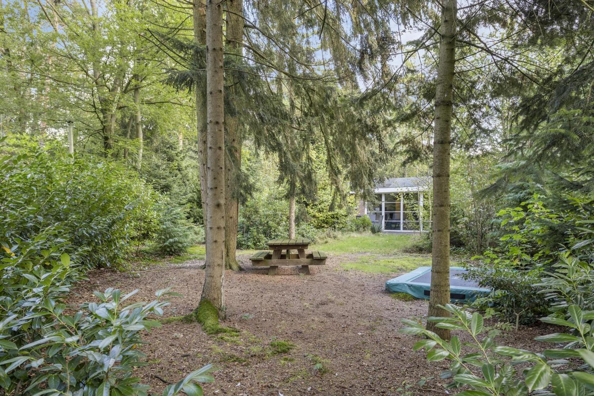 Relaxen In Het Bos Met Privesauna Holten Exteriér fotografie