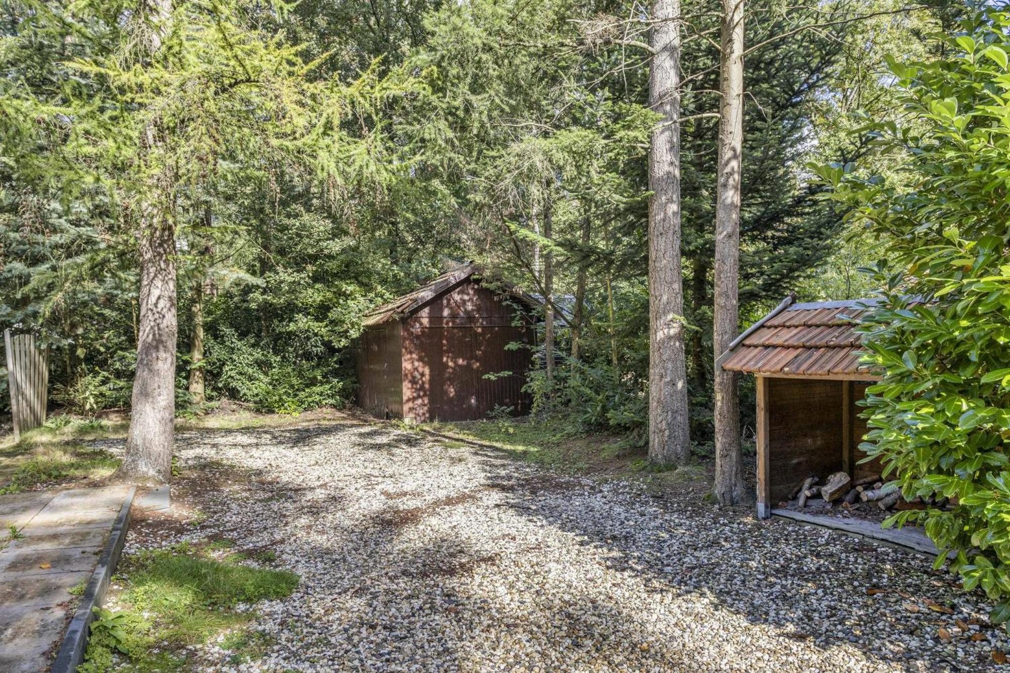 Relaxen In Het Bos Met Privesauna Holten Exteriér fotografie