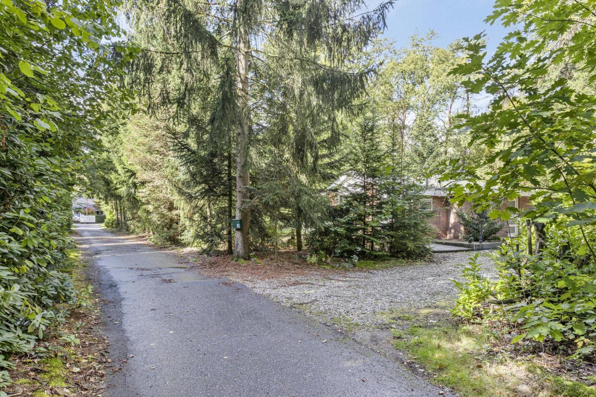 Relaxen In Het Bos Met Privesauna Holten Exteriér fotografie