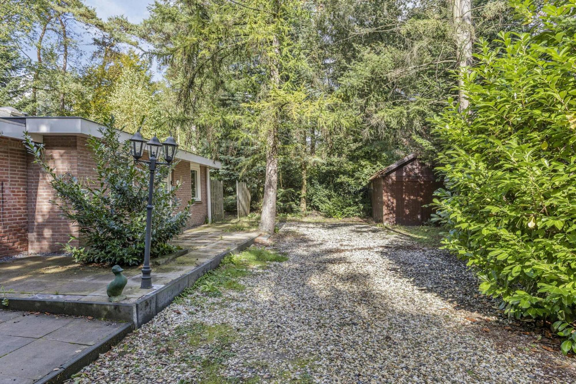 Relaxen In Het Bos Met Privesauna Holten Exteriér fotografie